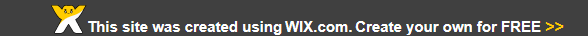 WIX Website Builder Review