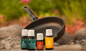 Is Young Living Essentials Oils a Scam