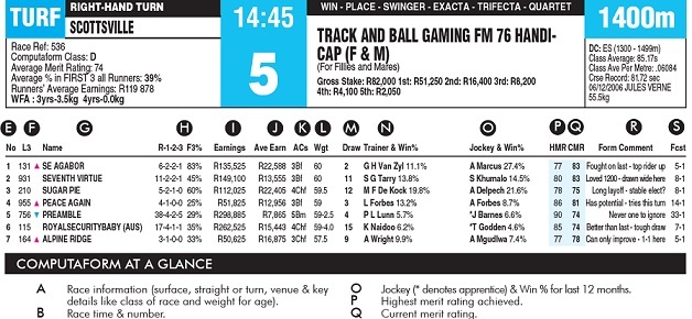 How to use Form to study horse racing