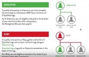 How the it works compensation ranks works