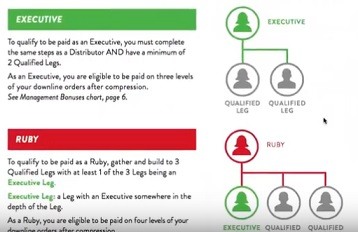 How the it works compensation ranks works