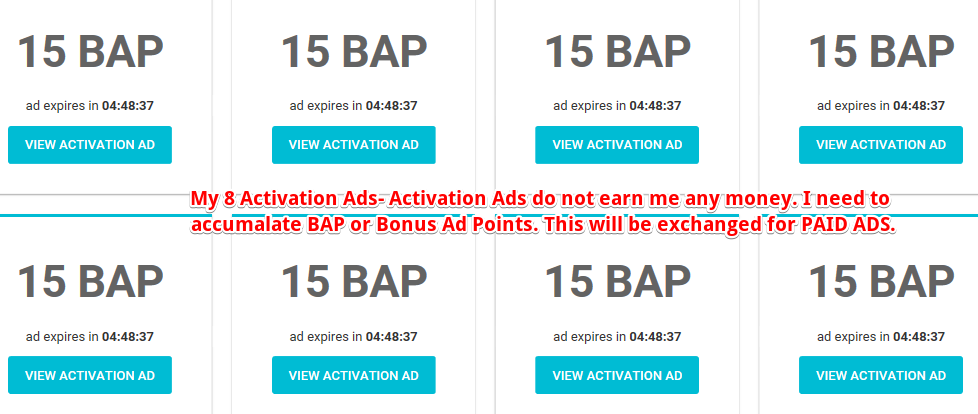 How does the Paidverts Activation Ads work?