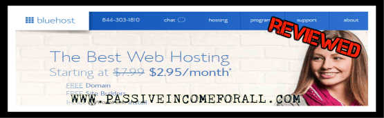 What is Bluehost web hosting