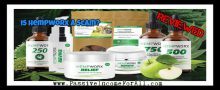 Is HempWorx a Scam? Is This Hemp-Based MLM Worth Your While? Is HempWorx a scam?