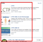Is CTFO A Scam? Let Me Help You Decide! - Passive Income For All