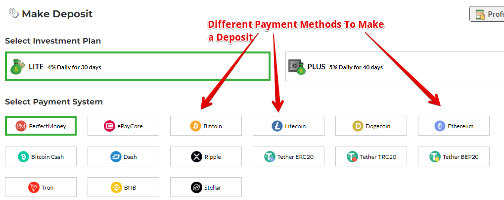 How to make a deposit with Bitplam. You can choose from 15 different payment methods