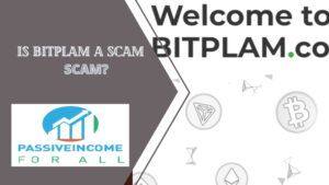 is bitplam scam featured image