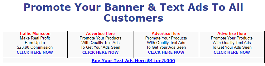 How to promote buildabizonline via paid ads